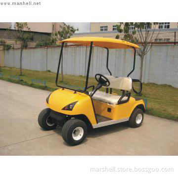 two seater electric golf cart  DG-C2 for sale with CE